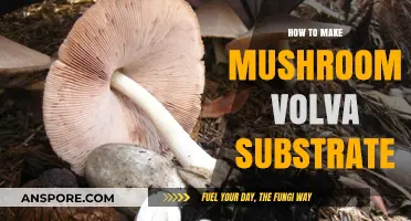Crafting Mushroom Volva Substrate: A Step-by-Step Guide for Success