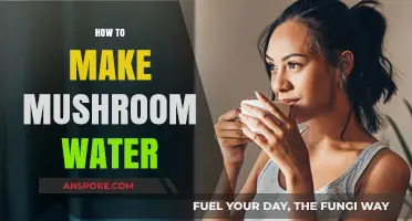 Brewing Mushroom Water: A Simple Guide to Infused Wellness
