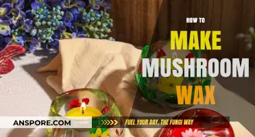 Crafting Mushroom Wax: A Step-by-Step DIY Guide for Beginners
