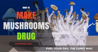 Crafting Psychedelic Mushrooms: A Comprehensive Guide to Cultivation and Extraction