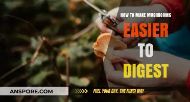 Enhance Digestibility: Simple Tips for Easier Mushroom Consumption