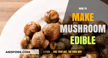 Transforming Wild Mushrooms: Safe Steps to Make Them Edible