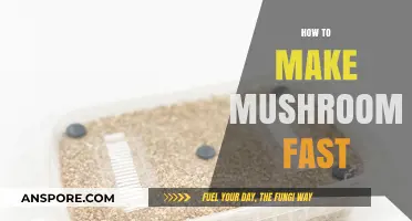 Quick Mushroom Growing Tips: Accelerate Your Harvest Effortlessly