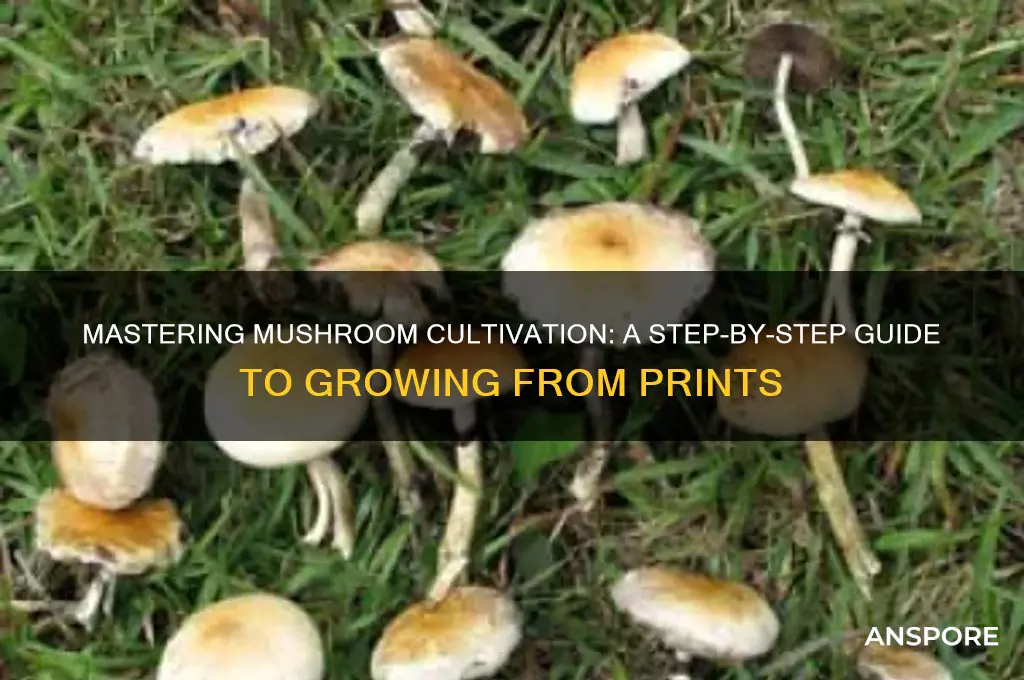 how to make mushrooms from a print