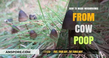 Transforming Cow Manure into Delicious Mushrooms: A Step-by-Step Guide