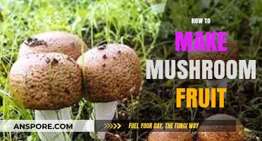 Mastering Mushroom Cultivation: Proven Techniques to Induce Fruiting Successfully