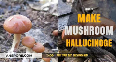 Unlocking Psychedelic Potential: A Guide to Making Mushrooms Hallucinogenic