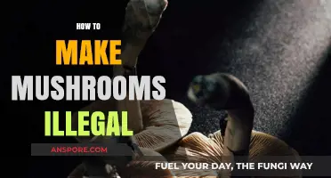 The Legal Battle: Strategies to Outlaw Mushroom Cultivation and Use