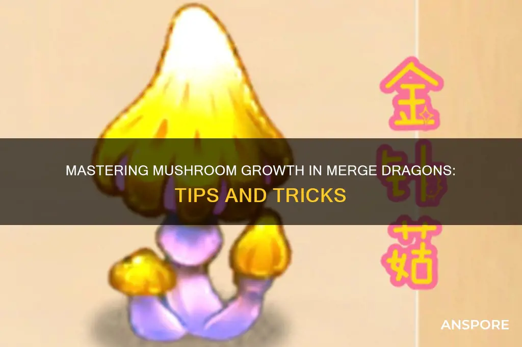 how to make mushrooms in merge dragons
