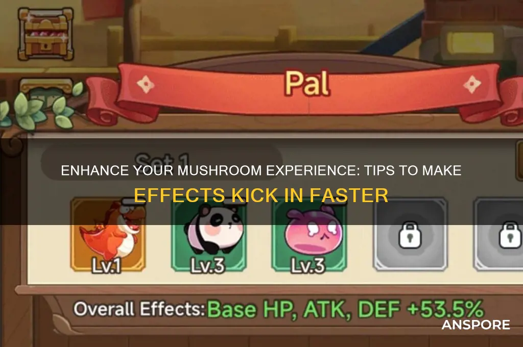 how to make mushrooms kick in