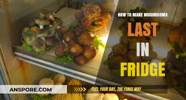 Extend Mushroom Freshness: Simple Tips for Longer Fridge Storage