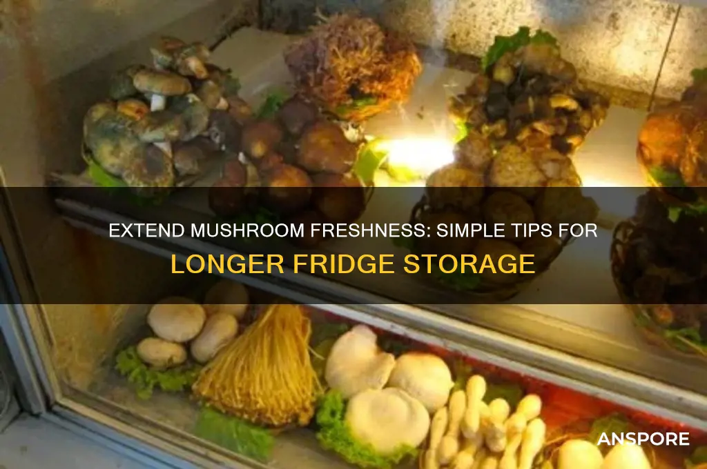 how to make mushrooms last in fridge