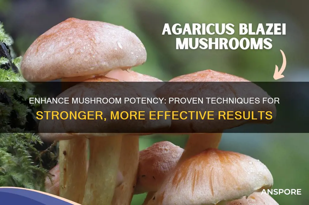 how to make mushrooms more potent
