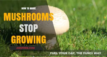 Effective Ways to Prevent Unwanted Mushroom Growth in Your Garden