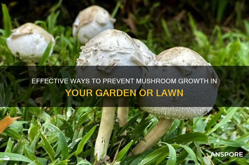 how to make mushrooms stop