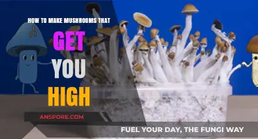 Exploring Psychedelic Mushrooms: A Guide to Cultivating Your Own High