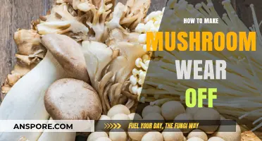 Quick Tips to Safely Ease Mushroom Effects and Feel Better Fast