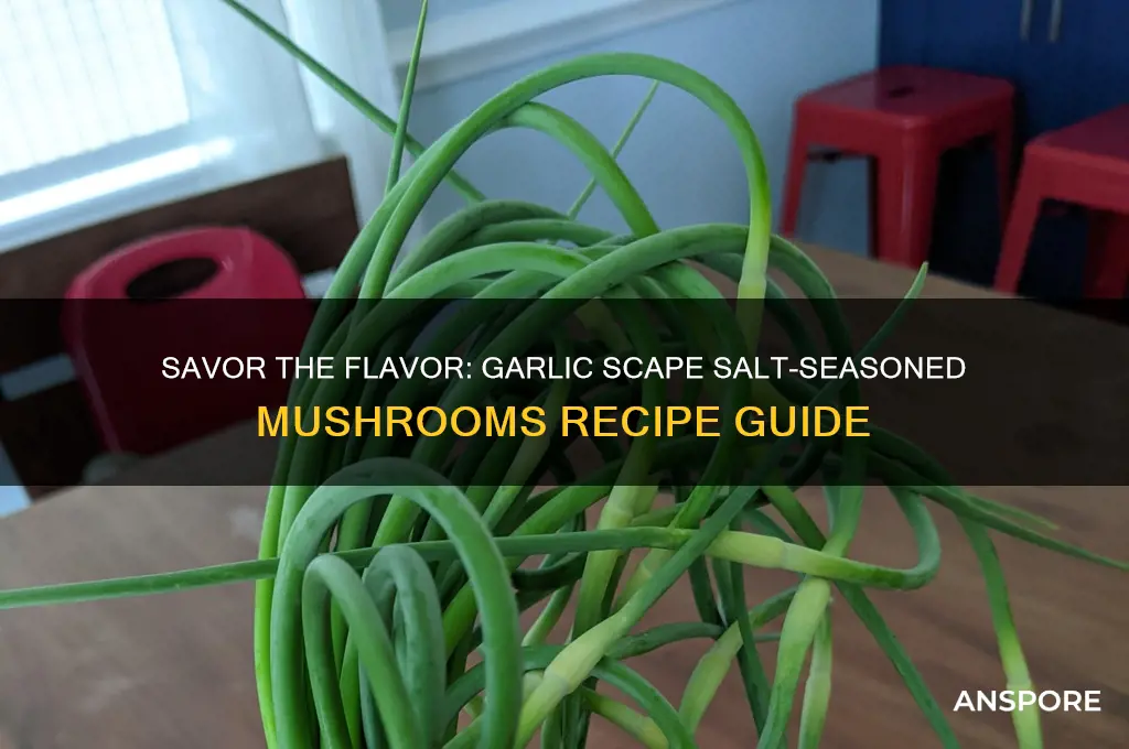 how to make mushrooms with garlic scape salt