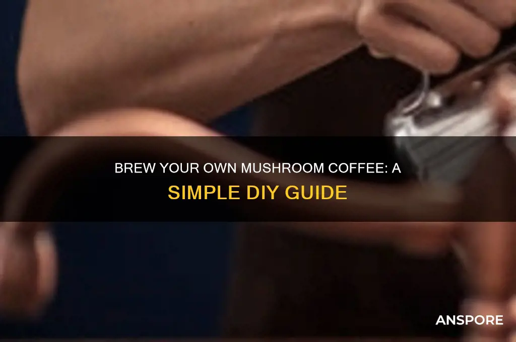 how to make my own mushroom coffee