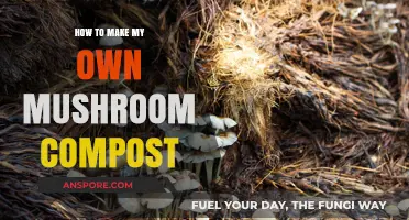 Crafting Mushroom Compost: A Step-by-Step Guide for Gardeners