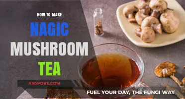 Brewing Bliss: A Guide to Crafting Magic Mushroom Tea
