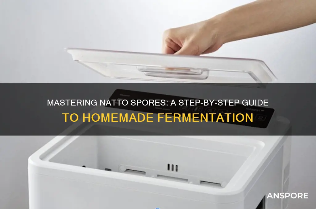 how to make natto spores