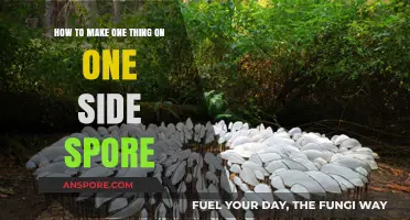 Mastering Asymmetry: Crafting a Single-Sided Spore Design Step-by-Step