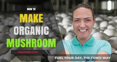 Mastering Organic Mushroom Cultivation: Simple Steps for a Bountiful Harvest