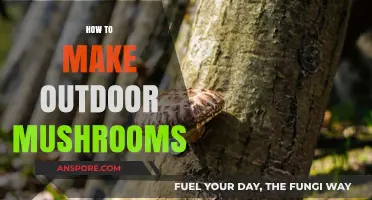 Cultivating Outdoor Mushrooms: A Step-by-Step Guide to Growing Your Own