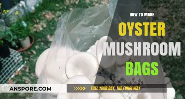 DIY Oyster Mushroom Bags: Simple Steps for Successful Cultivation