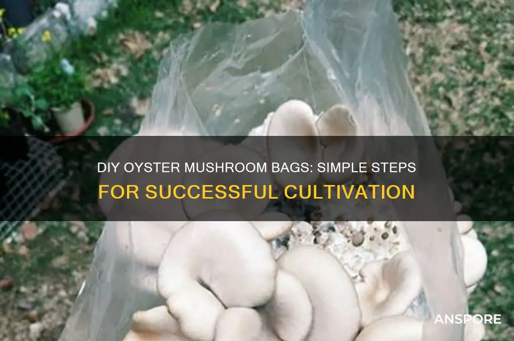 how to make oyster mushroom bags