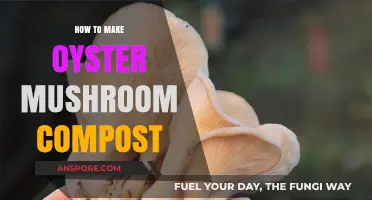 Mastering Oyster Mushroom Compost: Simple Steps for Rich, Organic Growth
