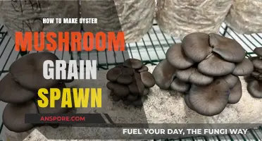 Mastering Oyster Mushroom Grain Spawn: A Step-by-Step Guide