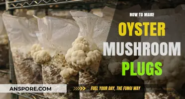Crafting Oyster Mushroom Plugs: A Step-by-Step DIY Guide