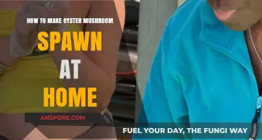 DIY Oyster Mushroom Spawn: Simple Steps for Home Cultivation