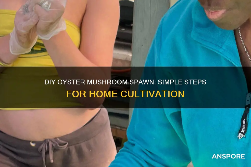 how to make oyster mushroom spawn at home