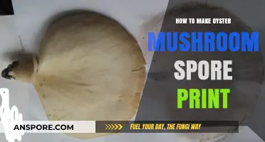 Mastering Oyster Mushroom Spore Prints: A Simple Step-by-Step Guide