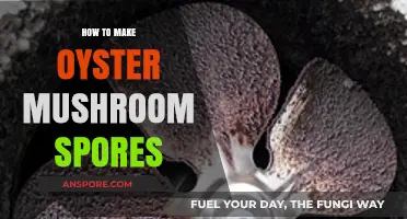 Mastering Oyster Mushroom Spores: A Step-by-Step Cultivation Guide