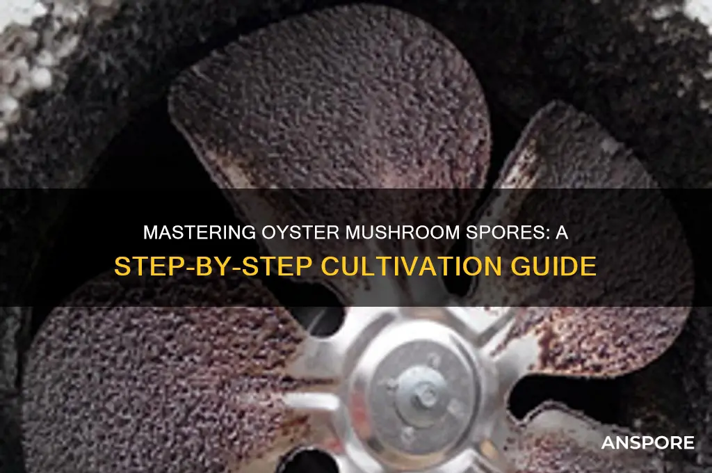 how to make oyster mushroom spores