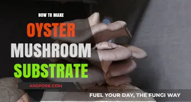 Mastering Oyster Mushroom Cultivation: Crafting the Perfect Substrate
