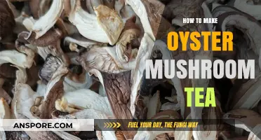 Brewing Oyster Mushroom Tea: Simple Steps for a Healthy, Earthy Beverage