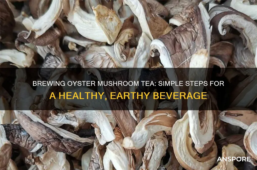 how to make oyster mushroom tea