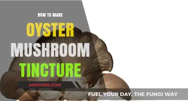 Crafting Oyster Mushroom Tincture: A Simple DIY Guide for Beginners