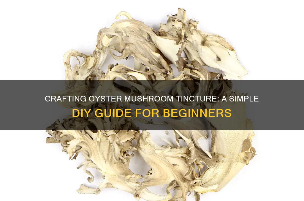 how to make oyster mushroom tincture