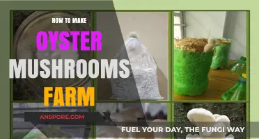 Grow Your Own Oyster Mushrooms: A Beginner's Farming Guide