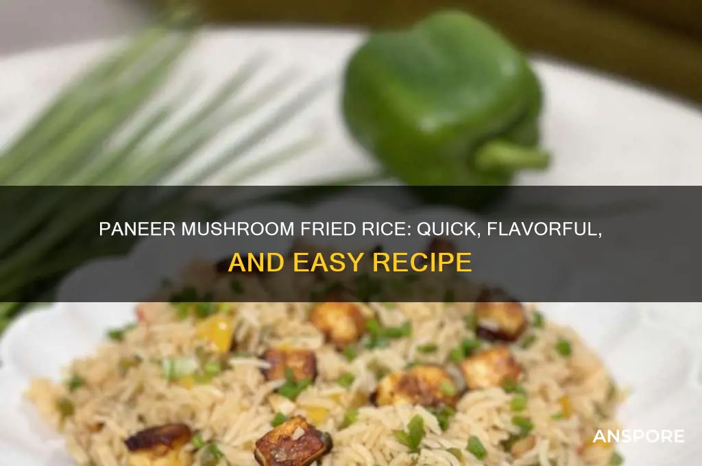 how to make paneer mushroom fried rice