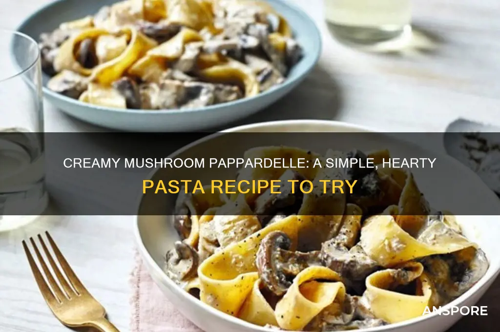 how to make pappardelle with mushrooms