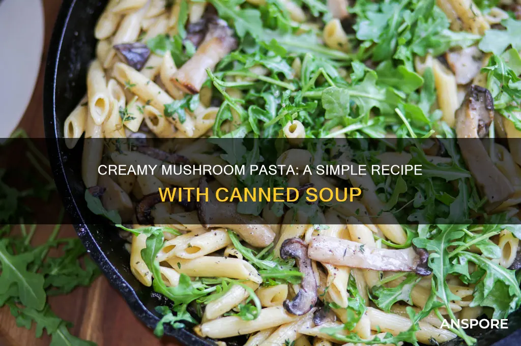 how to make pasta with cream of mushroom soup