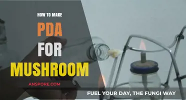 Crafting a Mushroom PDA: Simple Steps for Successful Cultivation