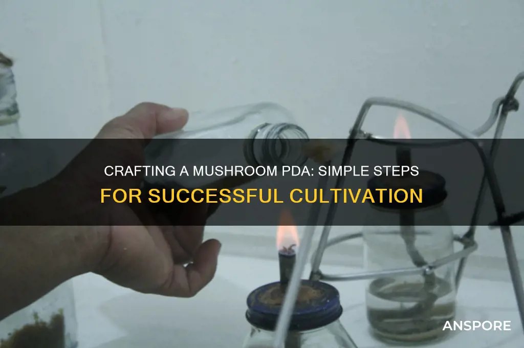 how to make pda for mushroom